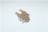 INTERRUTTORE POLTI M0002772