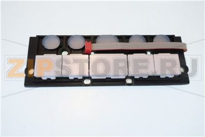 ASSIEME SCHEDA SELEZIONI TEOREMA 