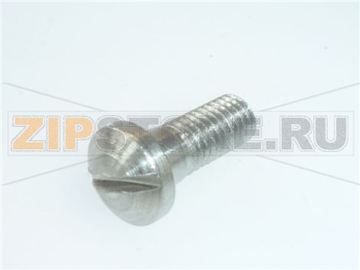 VITE INOX M5 