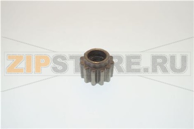 TRASC.MASCHIO RNO Q LAVORATO 