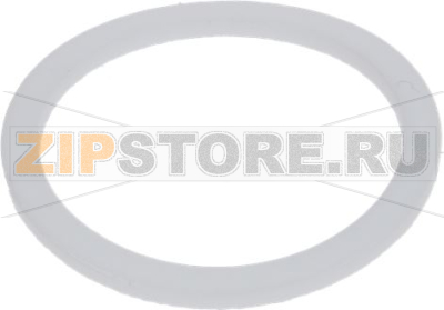 FLAT GASKET PTFE ø 23.5x19x1 mm 