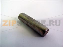 PERNO PER CERNIERA INTERMEDIA 