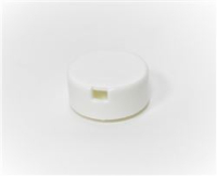OVERFLOW PIPE CAP