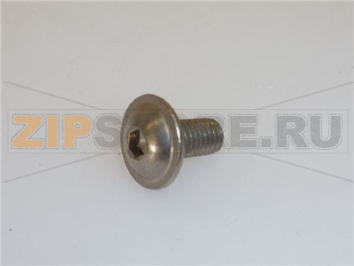 ROUND-HEAD SCREW WITH FLANGE M5x10 