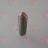 VITE SENZA TESTA A CAVA ESAGONALE M8x20 - VITE SENZA TESTA A CAVA ESAGONALE M8x20