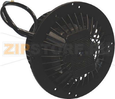 GRUPPO MOTORE ASPIRANTE 