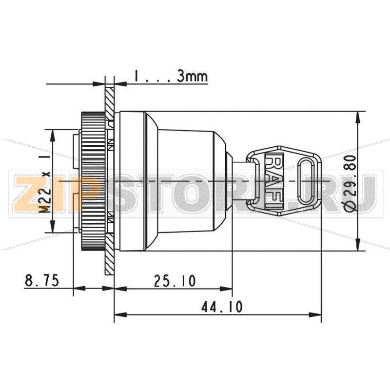 Выключатель с ключом, металлик, 2x40°, 1 шт Rafi 1.30.255.002/0000 