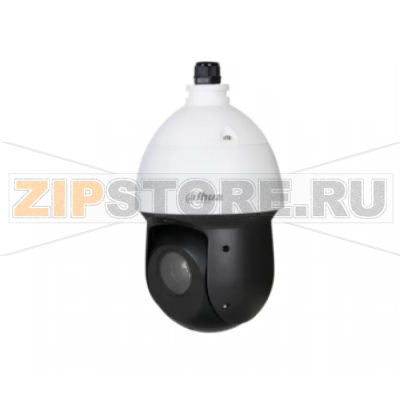 IP-камера Dahua DH-SD49212T-HN 