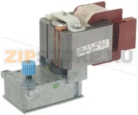 GEAR MOTOR