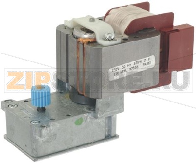 GEAR MOTOR 
