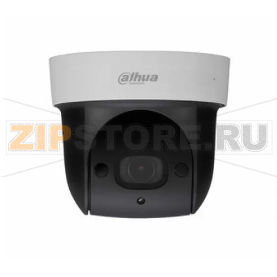 IP-камера Dahua DH-SD29204S-GN-W 