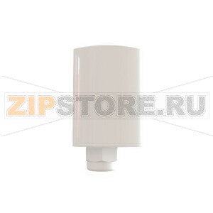 Антенна внешняя DYDCF77 ABB 2CSM250421R1000 