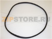 GUARNIZIONE BASAMENTO