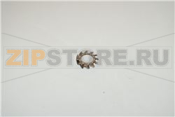 WASHER [C] 5,3X10 - - Min. 10 pz 