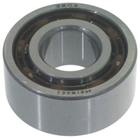 BEARING 3204