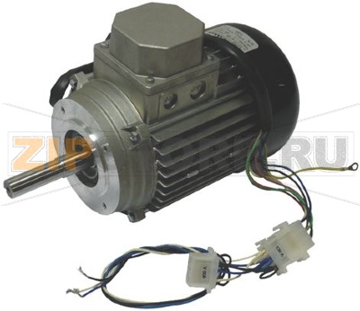 MOTOR 80/70 IEC34 0.75Kw 230/400V 