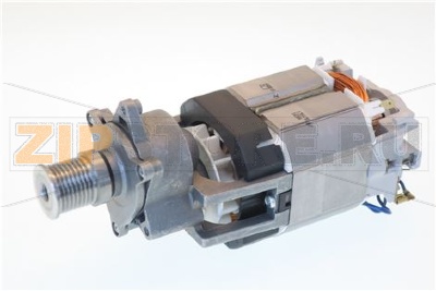 SINGLE PHASE MOTOR COLLECTOR 