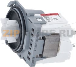 DRAIN PUMP ASKOLL BAYONET 