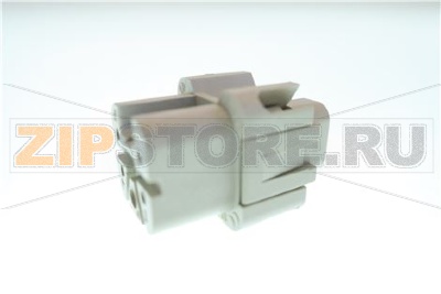 FRUTTO FEMMINA ILM CKF 04 