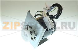 MOTOR MP 800 C/SOP. 