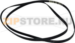 COURROIE SL BELLAVITA 