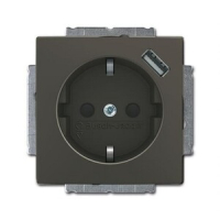 Розетка USB 16 А, 700 мА, шампань ABB 2CKA002011A6194