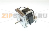 GEAR MOTOR 240V