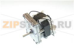 GEAR MOTOR 240V 