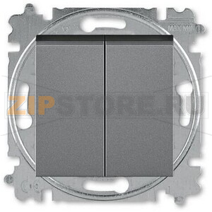 Переключатель двухклавишный, сталь ABB 2CHH595245A6069 
