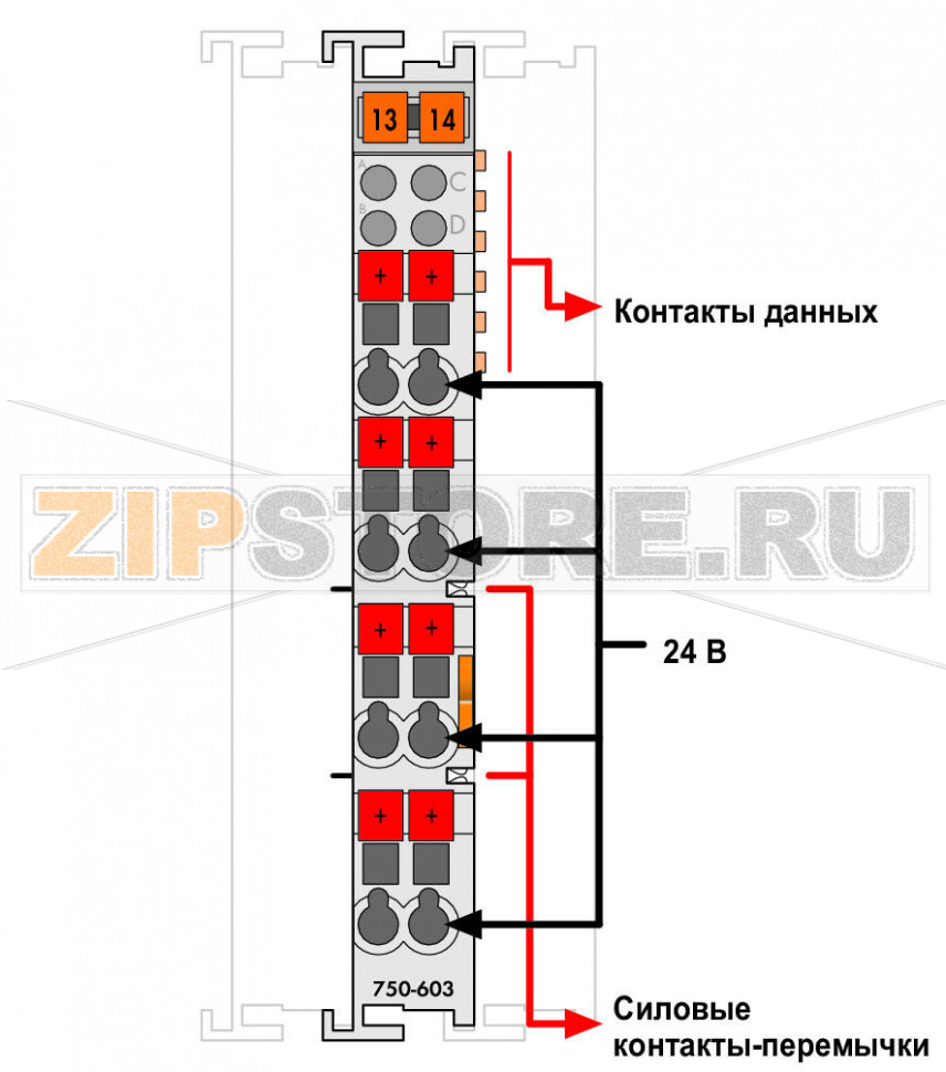 Распределение потенциалов; 8-канальный, 24 В; светло-серые Wago 750-603 