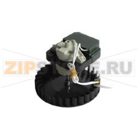 VENTILATORE NOFROST INDESIT C00252829