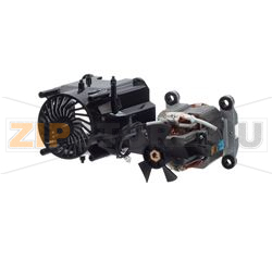 MOTOR, COMPLETE 