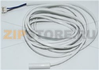 Temperature sensor