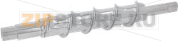 COCLEA 