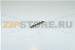 SPINA ELASTICA 