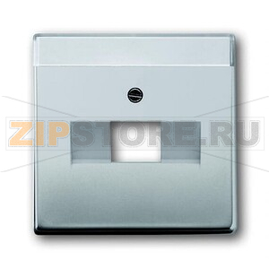 Накладка для однопостовой розетки с полем для надписи, сталь ABB 2CKA001710A3763 