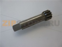 ALBERINO PIGNONE SP/M Z12