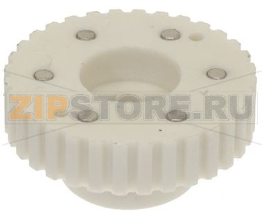 PULEGGIA CON MAGNETI 