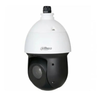 IP-камера Dahua DH-SD49212T-HN-S2