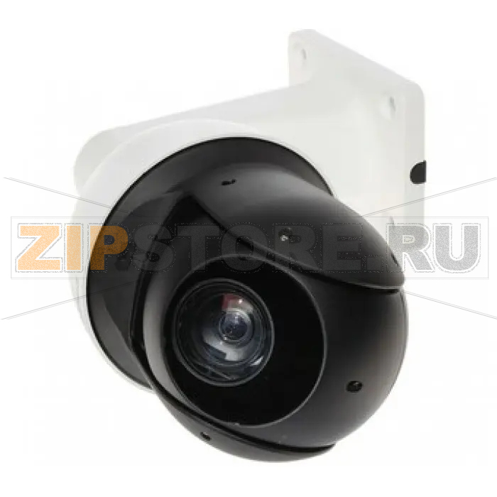 IP-камера Dahua DH-SD49212T-HN-S2 