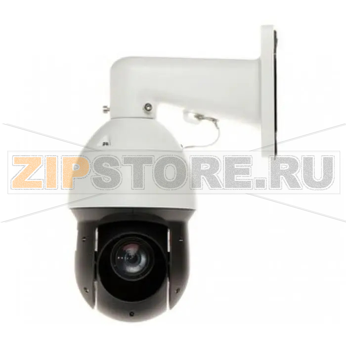 IP-камера Dahua DH-SD49212T-HN-S2 