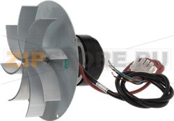 SMOKE EXTRACTORS ECOFIT 2RECA3 