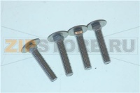 БОЛТ С ГРИБОВИДНОЙ ГОЛОВКОЙ И КВАДРАТНОЙ ШЕЙКОЙ RATIONAL 10.01.049P (4ШТ)