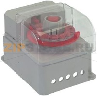 TIMER BIGATTI SBRINAMENTO GAS TR MN