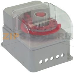 TIMER BIGATTI SBRINAMENTO GAS TR MN 