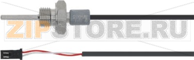 TEMPERATURE PROBE 