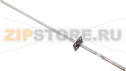 STEAM WAND ED/13 