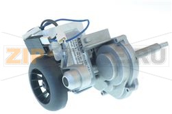 MOTORIDUTTORE 230V 50HZ NG MICRO 