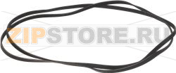 BELT HUTCHINSON 1884 H5 