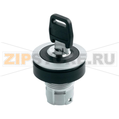Выключатель с ключом, металлик, черный, 1x90°, 1 шт Schlegel RRJSSA18 